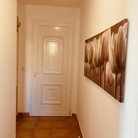 Lägenhetshotell Punta Di Mare Linguizzetta