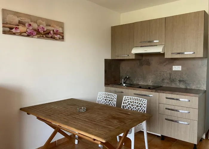 Punta Di Mare Appart hôtel Linguizzetta